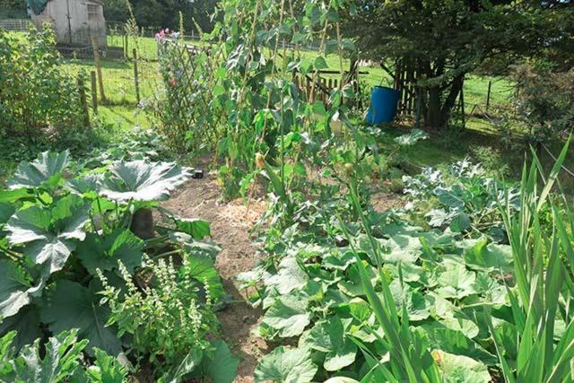 B&B Ferme Du Petit Breuil 베르비에 외부 사진