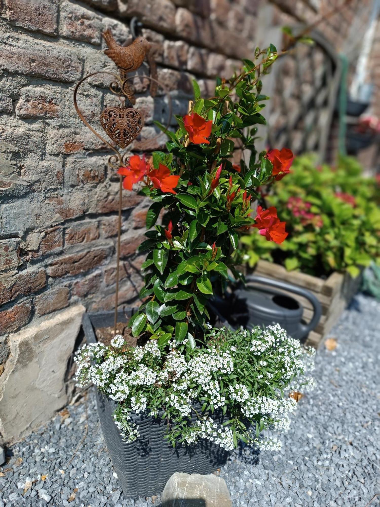B&B Ferme Du Petit Breuil 베르비에 외부 사진